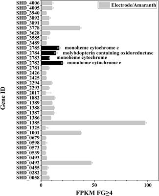 Lack of Periplasmic Non-heme Protein SorA Increases Shewanella decolorationis Current Generation